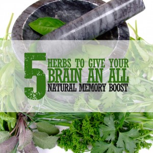 5Herbs_Thumbail_Pinterest