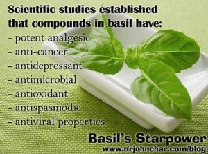 797a1b96d8a54b4930f3fdf6e7742b71