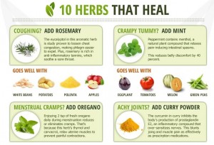 Herbs-That-Heal