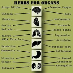 b6abba2e6a2f5f041bffd54c34713d06